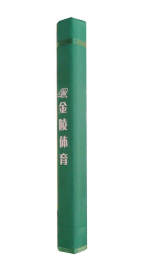 固定式单臂篮球架护套