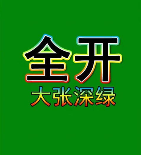 得力全开卡纸深绿色