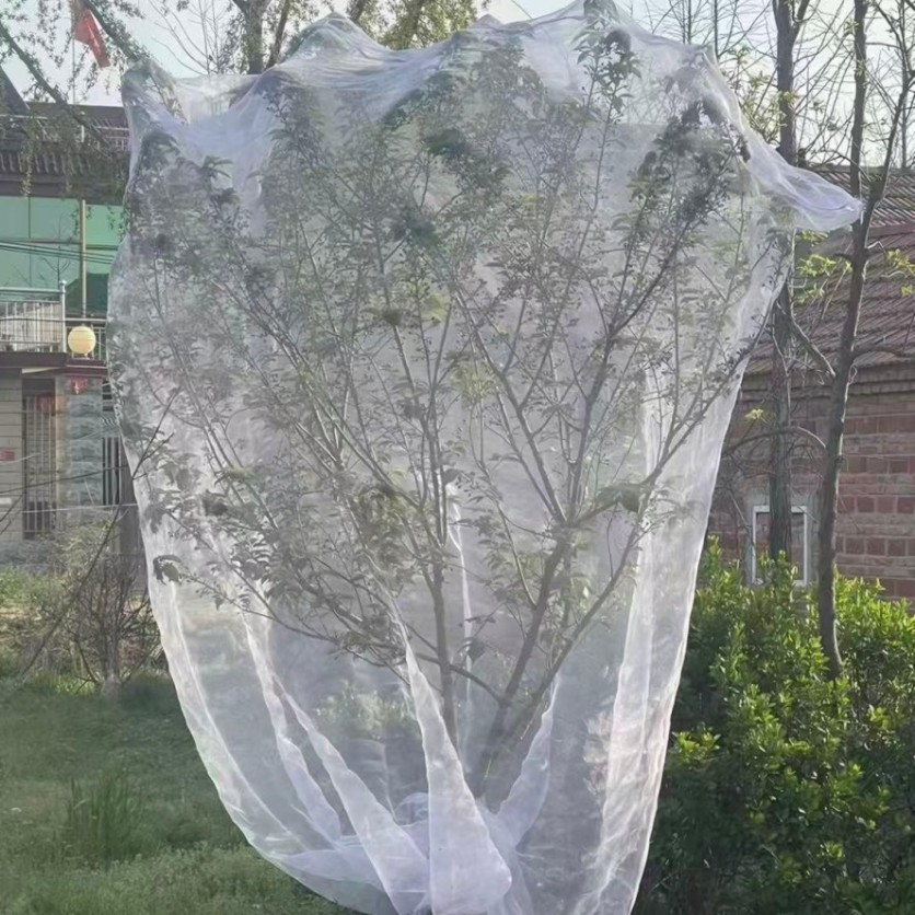 防虫网