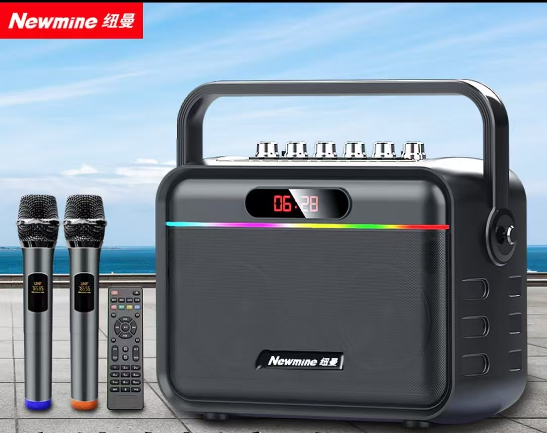 纽曼K112声卡特效版（双话筒+遥控器）