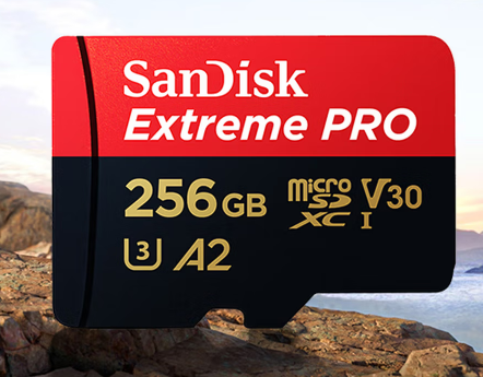 闪迪（SanDisk）256GB TF（MicroSD）内存卡