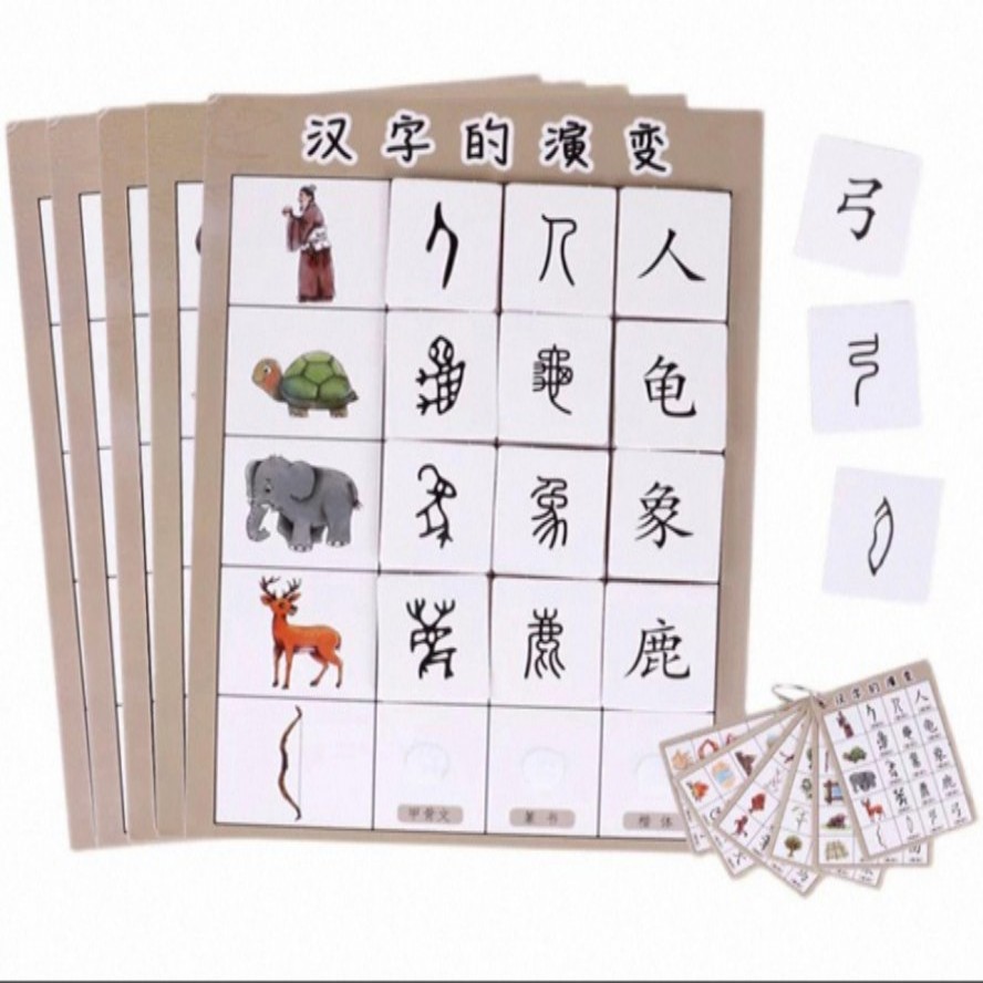 汉字的演变套装