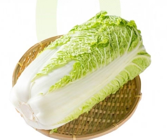 白菜