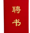 绒面发泡聘书