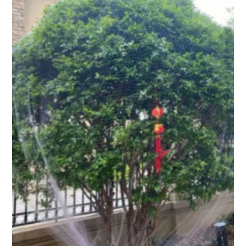 防网