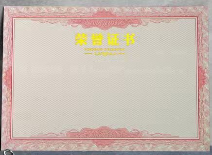A4 荣誉证书内芯 网状