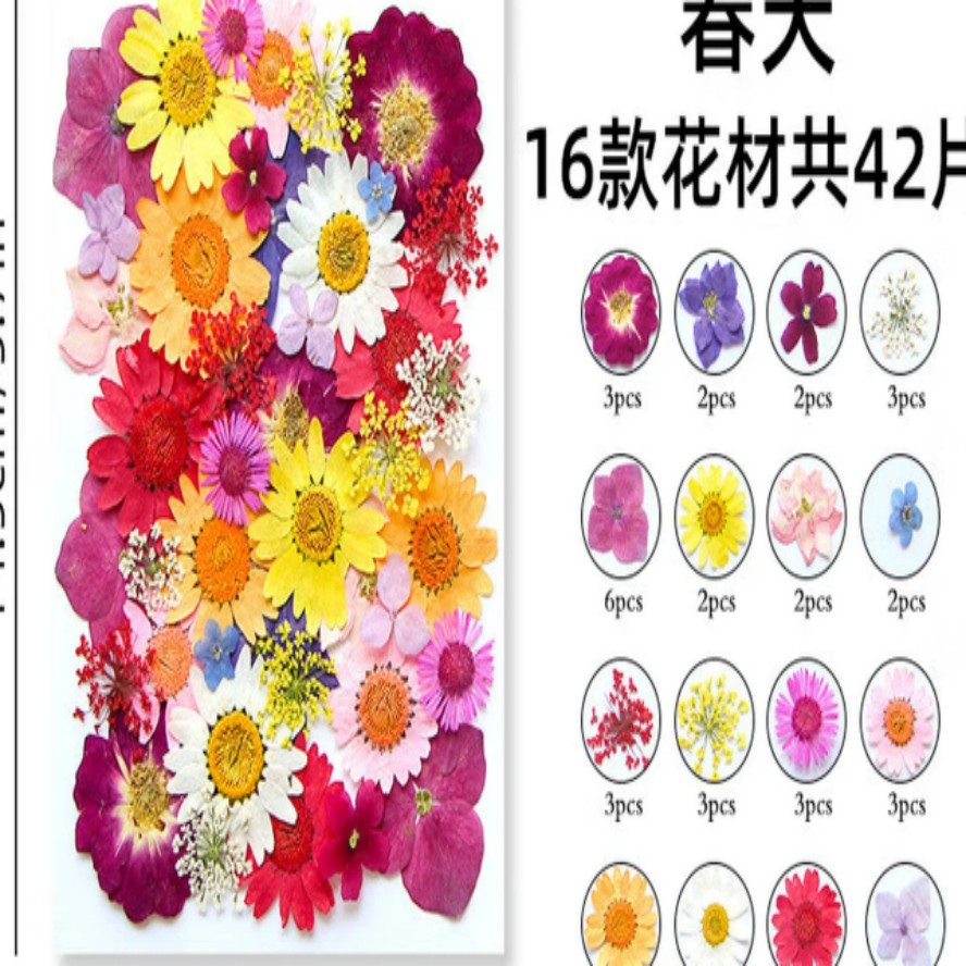 干花材料包diy永生花压花片草手工滴胶书签真花植物树叶标本押花 春天;干花包