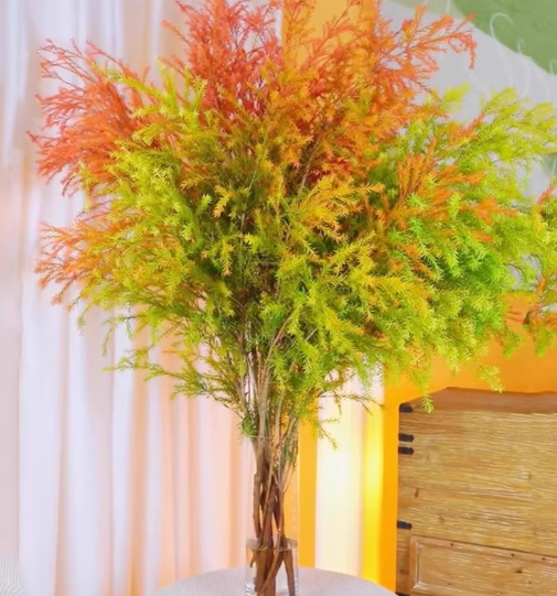 千层金鲜花