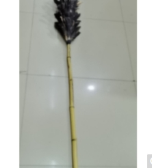 2米鸡毛掸