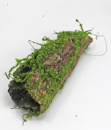 造景木雨林缸爬宠缸森系造景木网红造景摆件苔藓生态实木造景 长10-15厘米单个