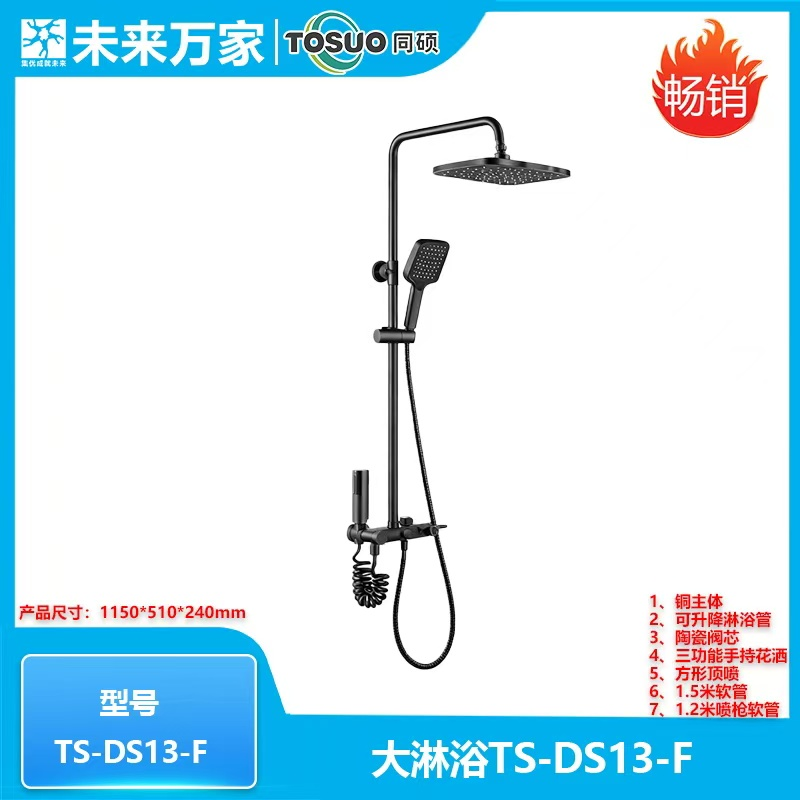 同硕 全铜 淋浴器
