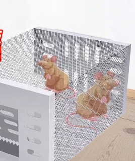 捕鼠笼捕鼠神器