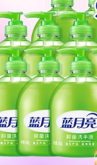 蓝月亮 500ml洗手液 12瓶/箱