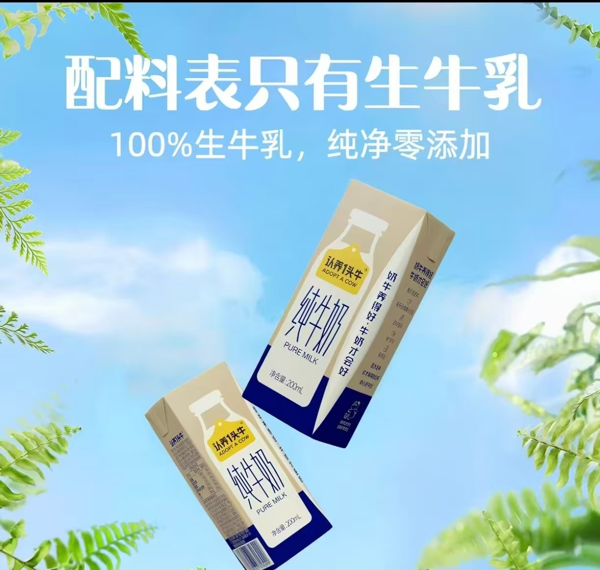 纯牛奶 20瓶/箱