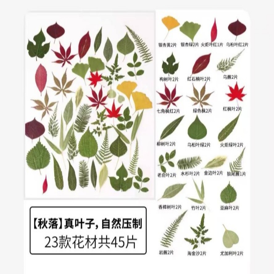 混合树叶