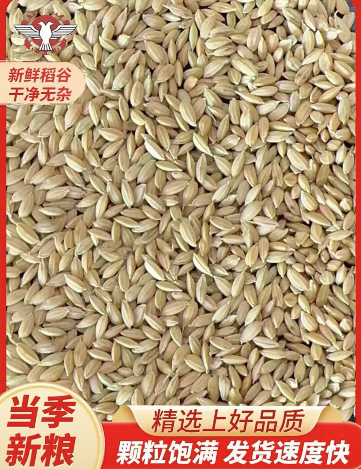 稻谷带壳水稻22.5KG