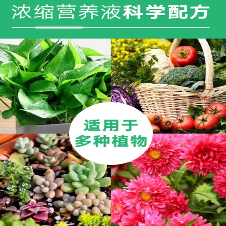 营养液植物通用型