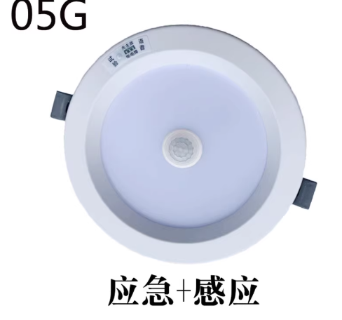 东君感应筒灯9.5