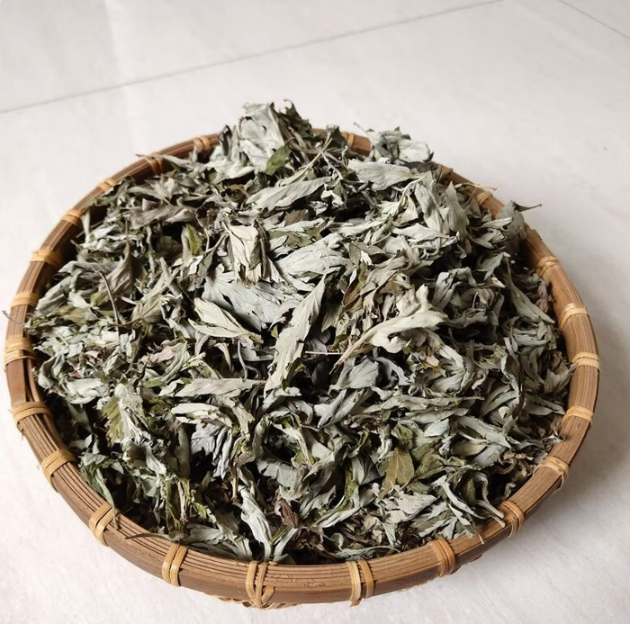 艾a草