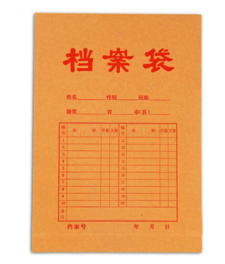伟宇拓 档案袋 250g A4 335*235mm 侧宽5cm 绳扣式 牛皮纸竖式棕色