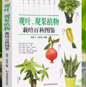 解码身边植物