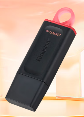 金士顿DTX 256G U盘