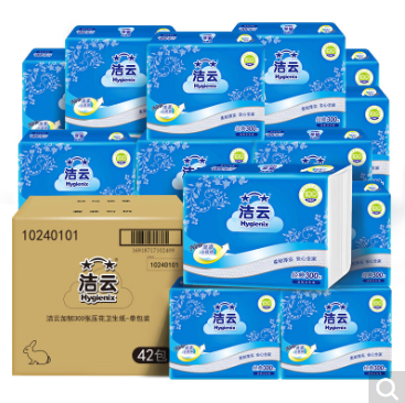 洁云10240101平板卫生纸300张 42包/箱