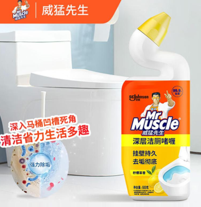 威猛先生 洁厕啫喱 600g