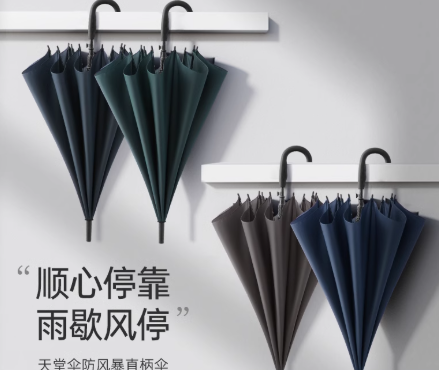 天堂伞193E雨伞