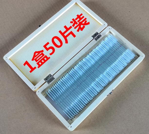 口腔上皮细胞（永久装片）50片/盒