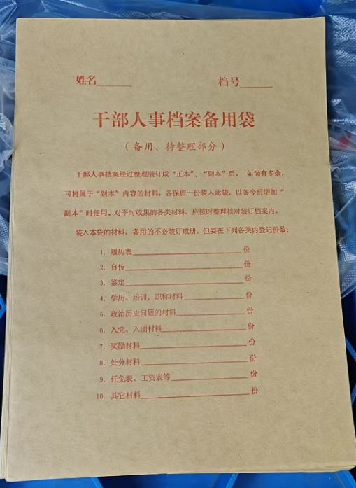 干部人事档案备用袋 30cm*21.5