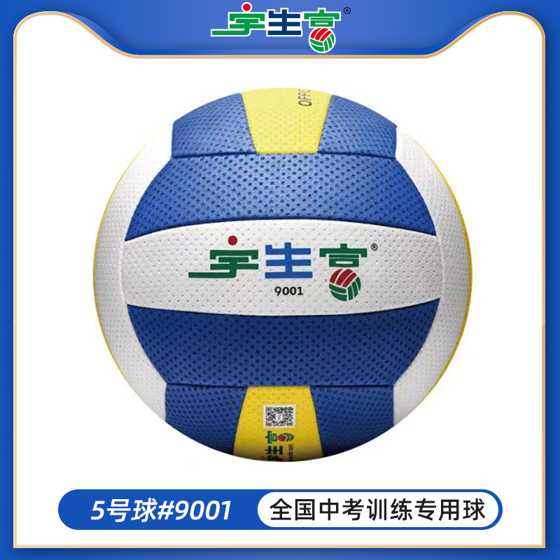 9001宇生富中文版5号比赛 气排球 080