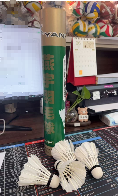 777羽毛球