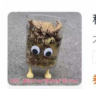 环创摆件aq