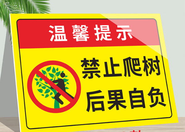 树上