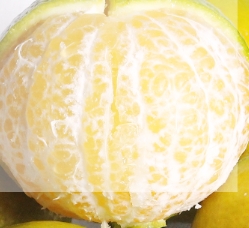 水果