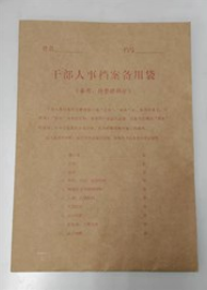 干部人事档案备用袋 30cm*21.5