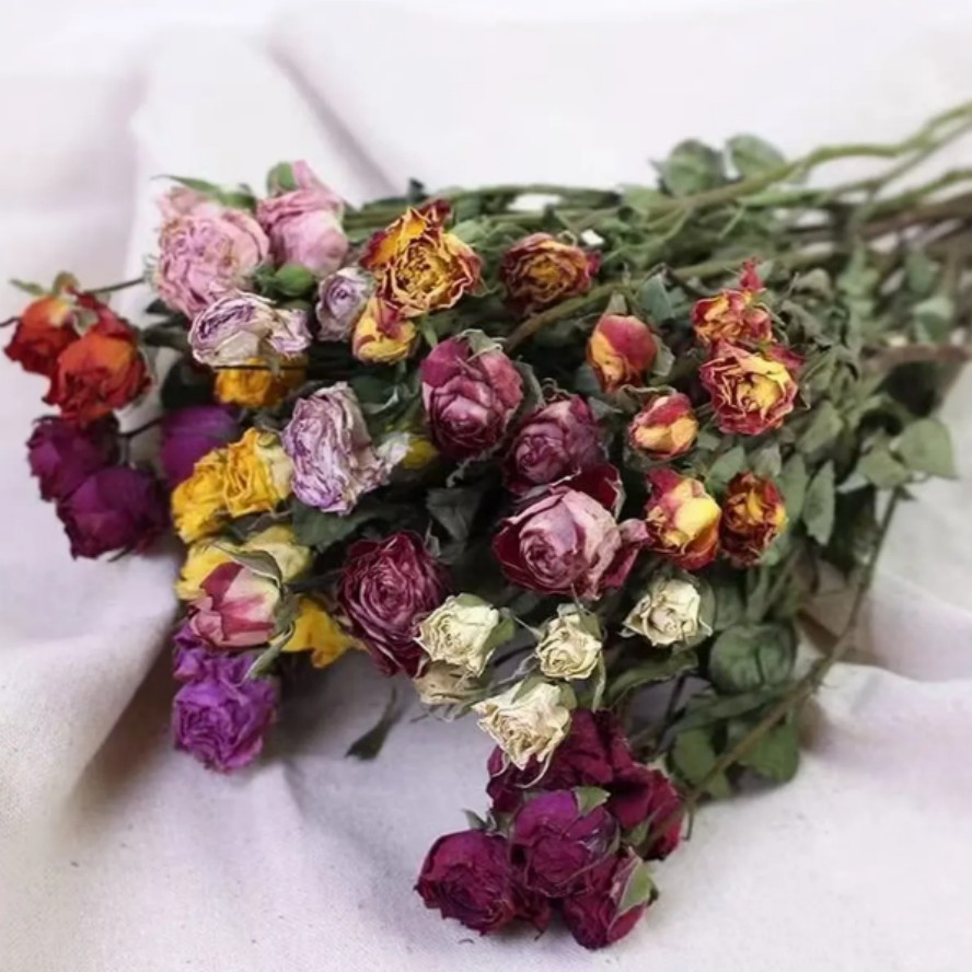 干花多头小玫瑰泡泡天然真花  混色泡泡