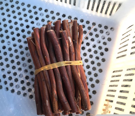 幼儿园树枝装饰小树杈干树枝diy¥6.15手工森系挂饰材料环创布置装   深棕色10cm棕色树枝50根