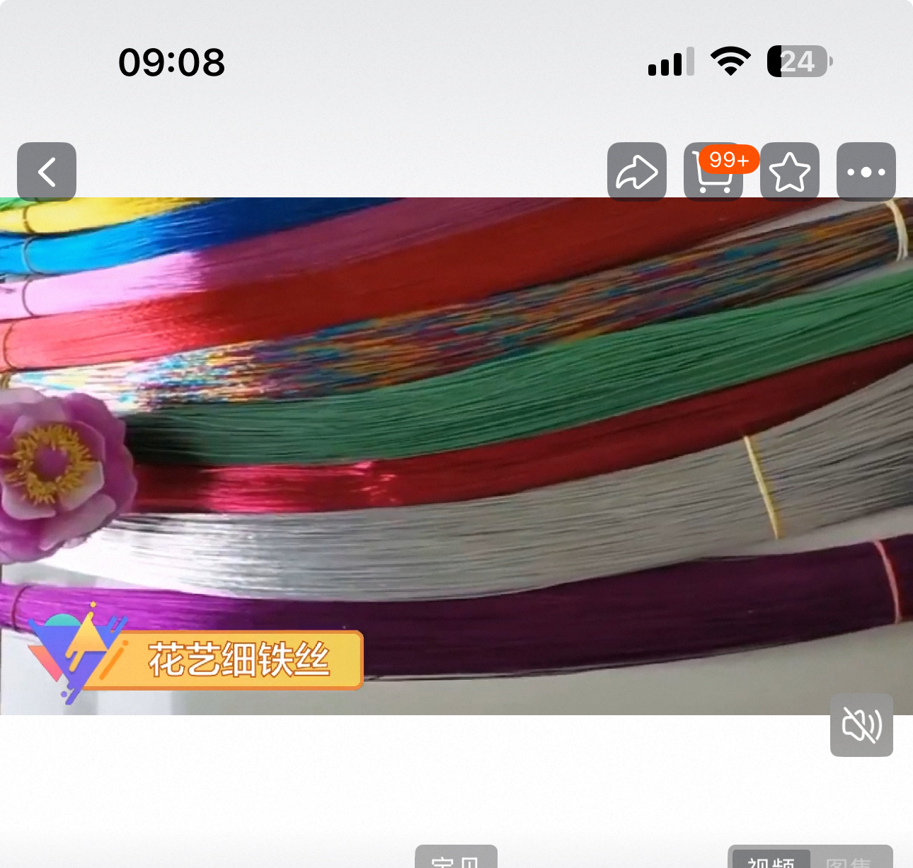 细铁丝（粗0.8毫米，红色）100根