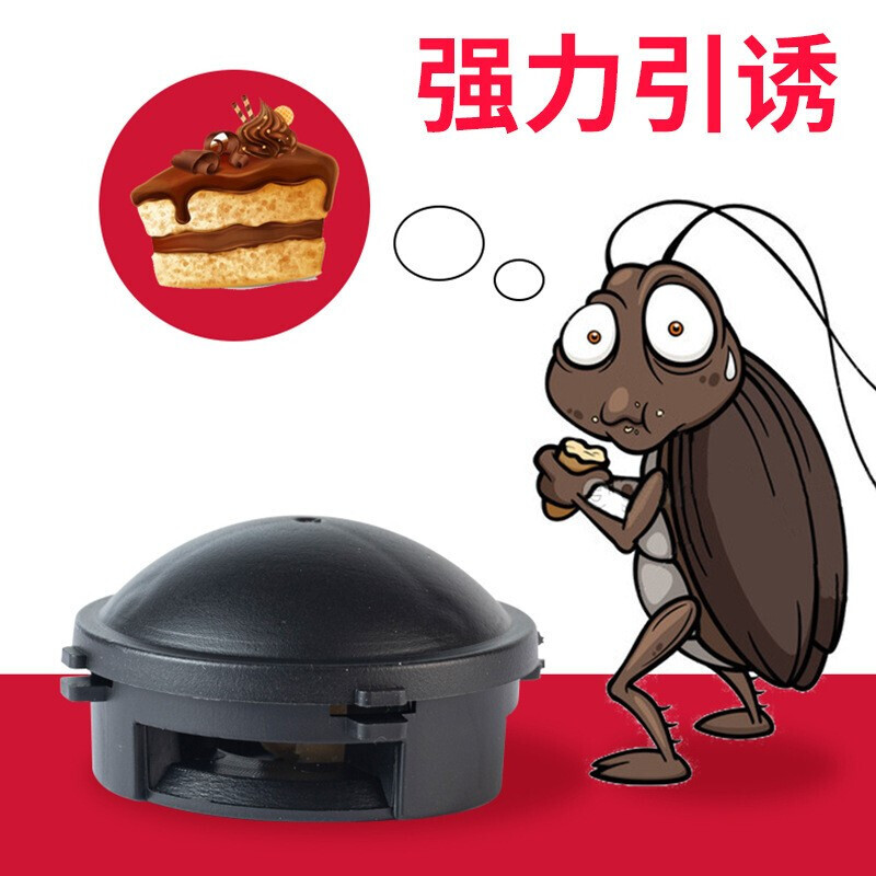 KOOGIS 蟑螂药特te效xiao强力全窝端 12枚/盒