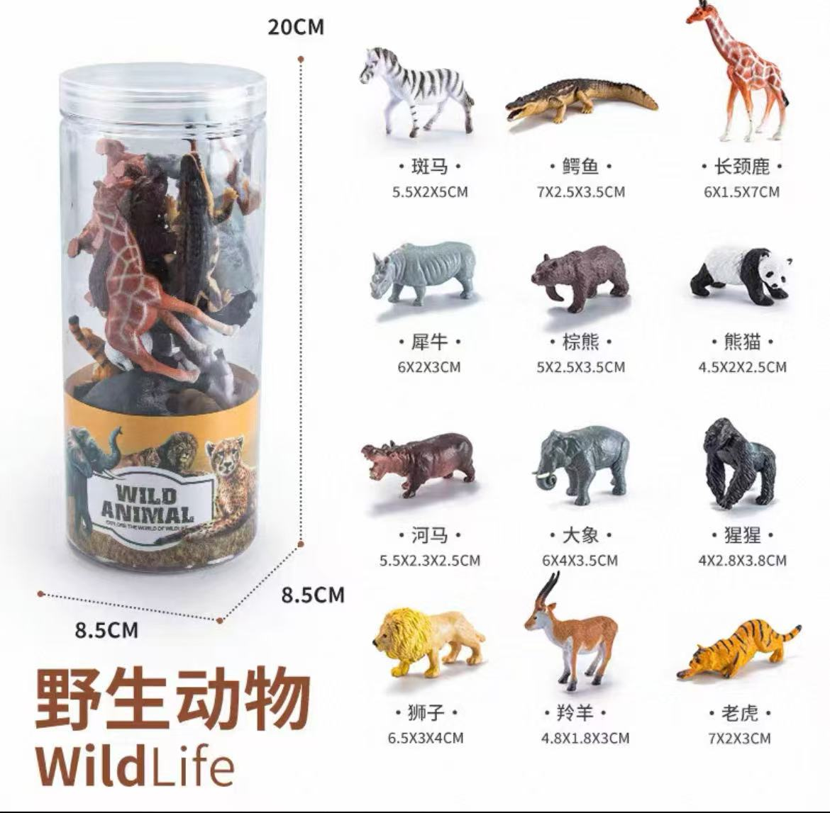 动物模型