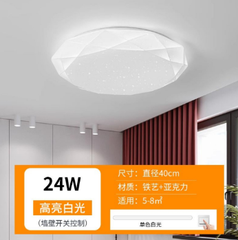 LED吸顶灯 40厘米高亮白光24瓦