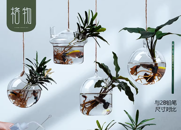 教具悬挂式植物玻璃瓶花瓶水养培器皿