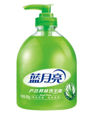 蓝月亮 芦荟抑菌洗手液 10000127 500g