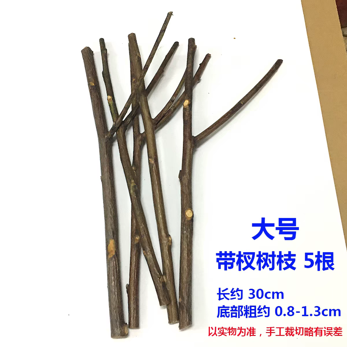 树枝