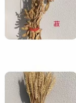 五谷杂粮干花aq