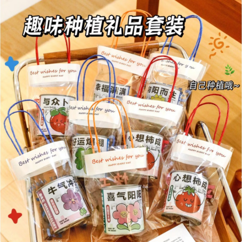 小盆栽桌面绿植