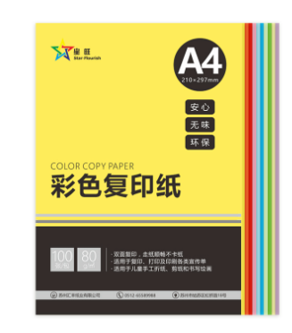 星旺 80克 A4彩色复印纸 10色混色装 100张/包 25包/箱
