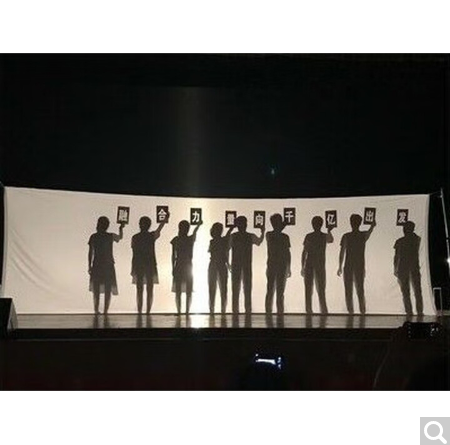 人影手影手电筒秀表演幕布2.9*6米